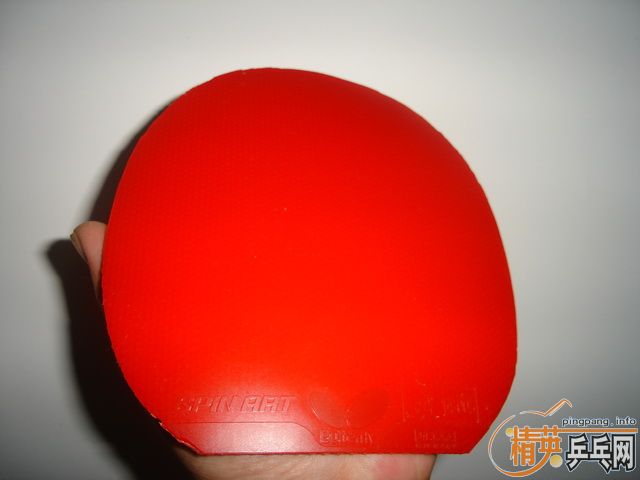 ���������ּ����׽����� ������ת������ͦ����Ŷ��ǾŰ�XIN����������̴�� ������ FL ������ �۸��š��ѳ��� ��桿