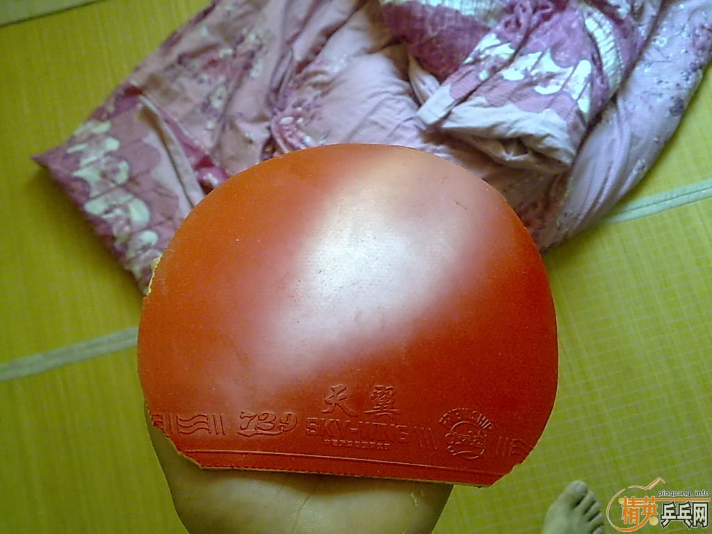 �����Ź���