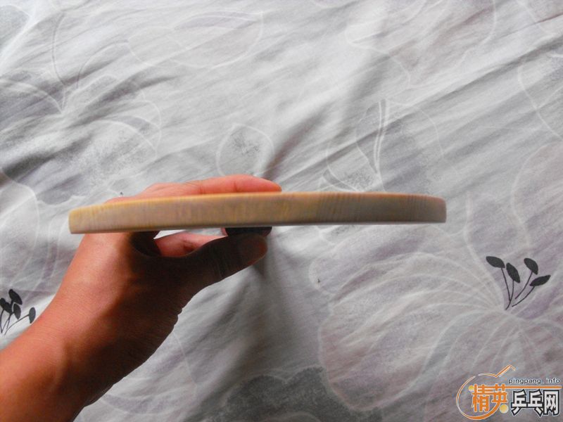 ���򻻶�����ð��ӣ���һ����donic��̼��ǿ���޿�������˿��+�޻����3+banda china ts 330���ʣ��ڶ���������ǩ���л�stiga ������ 300����;���ѵ����������350.