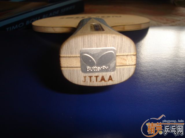 ������̼����ISHLION   FL