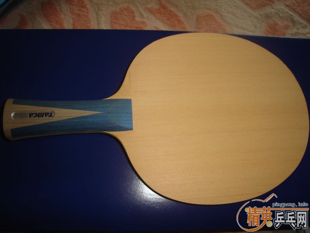 ������̼����ISHLION   FL