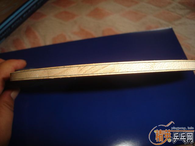 ������̼����ISHLION   FL