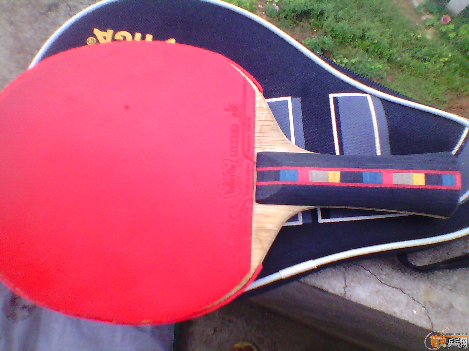 ������̼