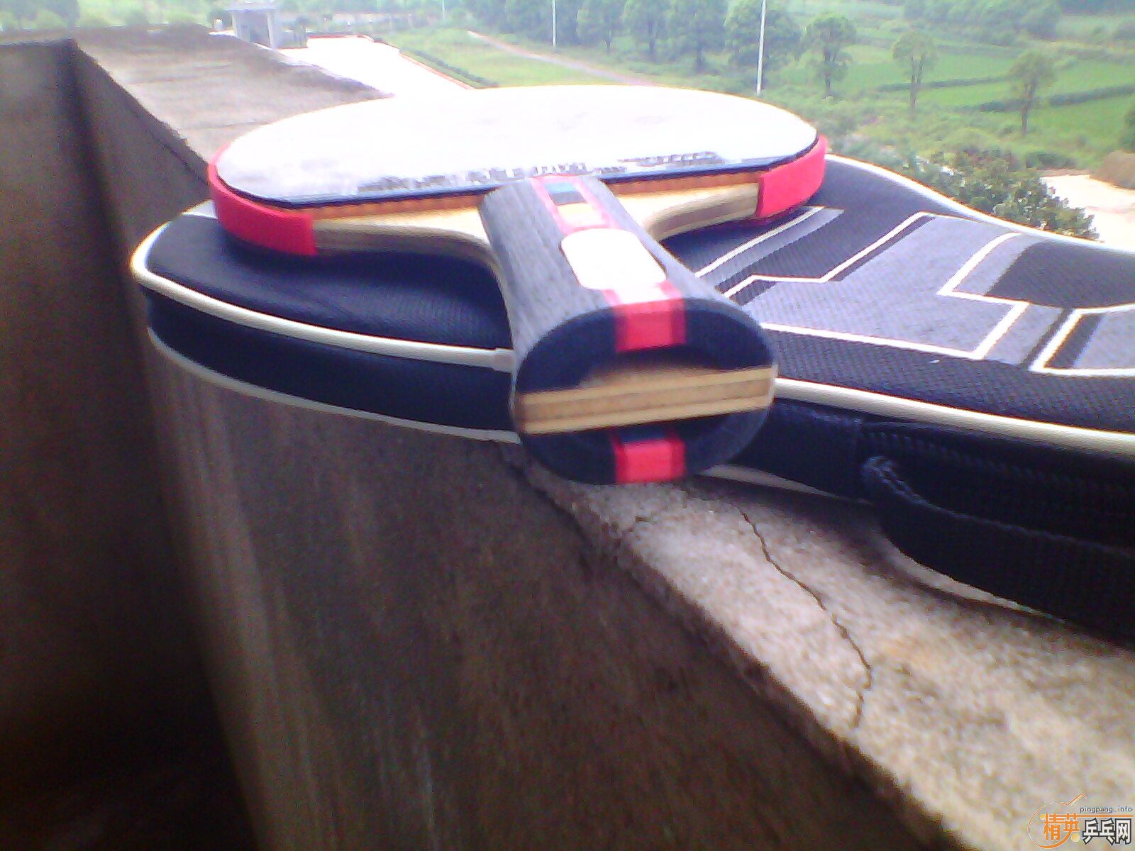 ������̼