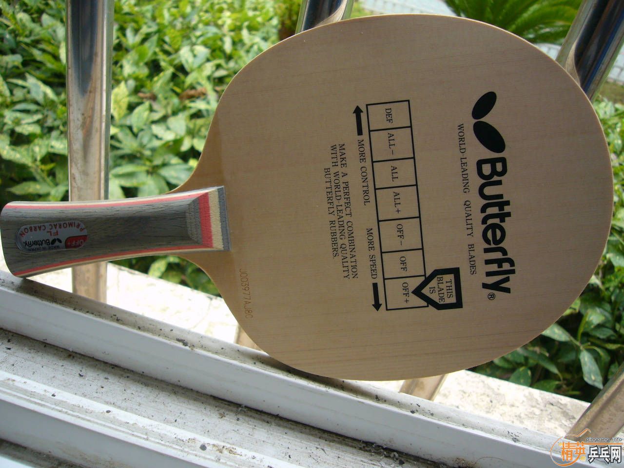 ���µڶ��� ��ά�籩