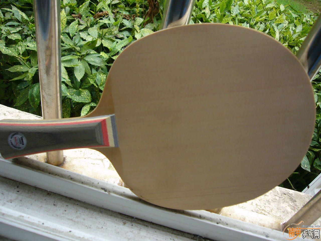 ���µڶ��� ��ά�籩