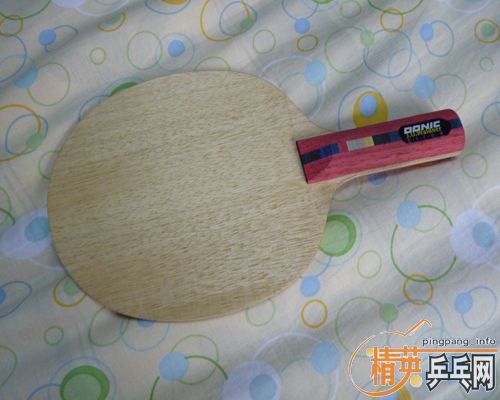 200���ʳ�ST��donic waldner dicon