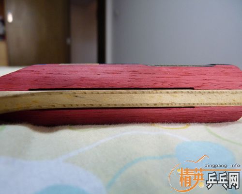 200���ʳ�ST��donic waldner dicon