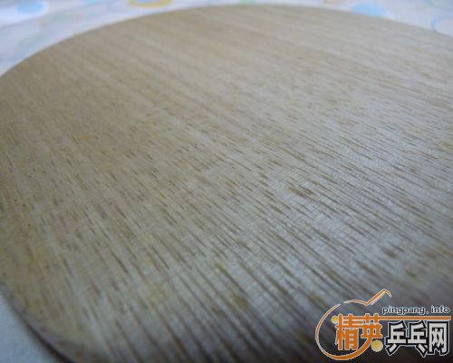 200���ʳ�ST��donic waldner dicon