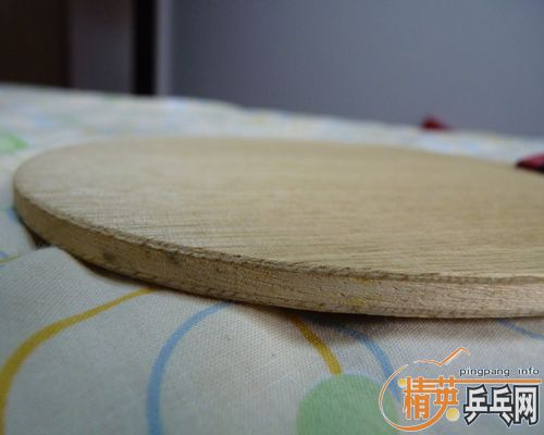 200���ʳ�ST��donic waldner dicon