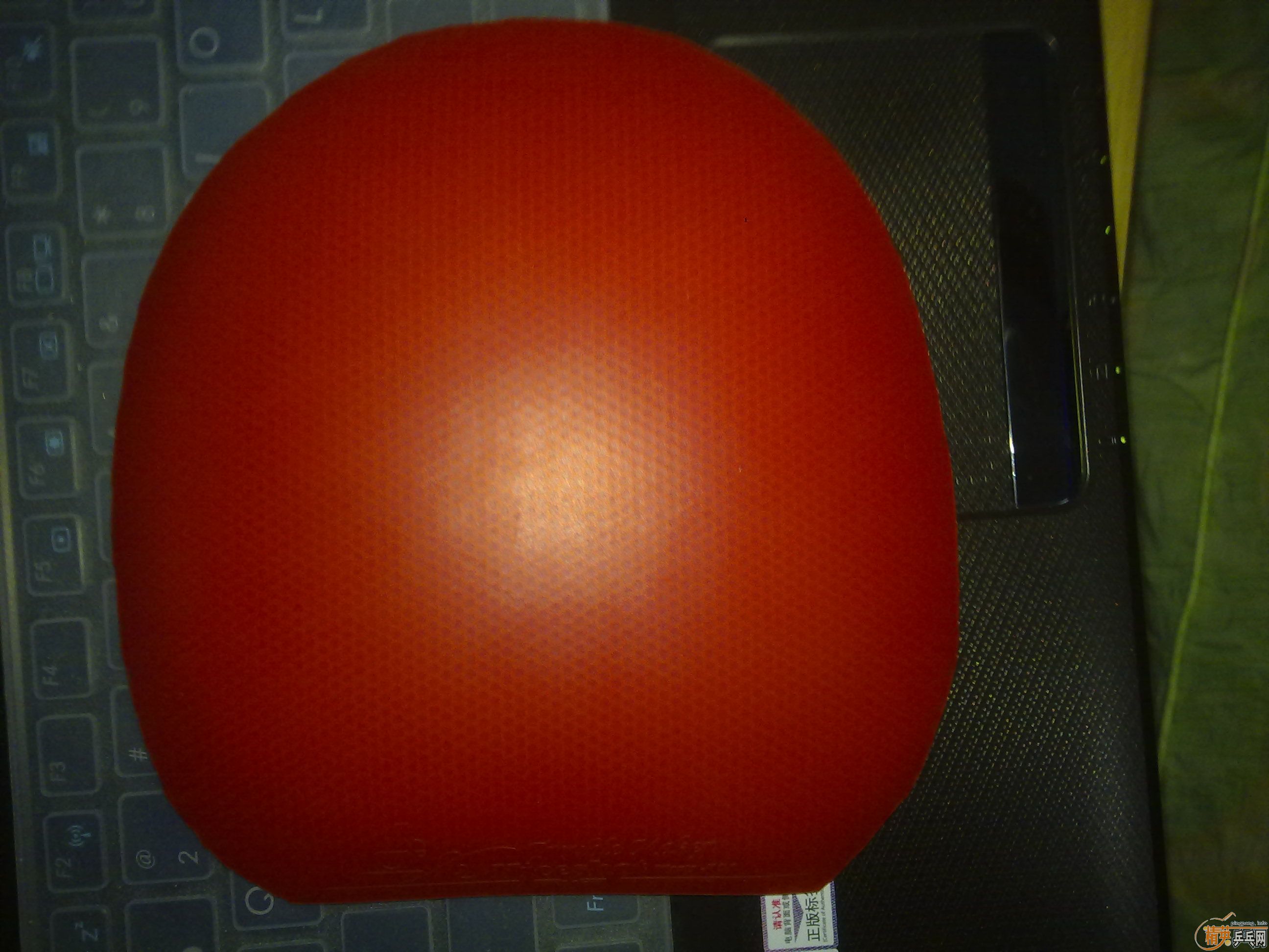 ���Ż� 9.9�½�Ƥ ������۳� ���������� Ҳ������Ҫ��