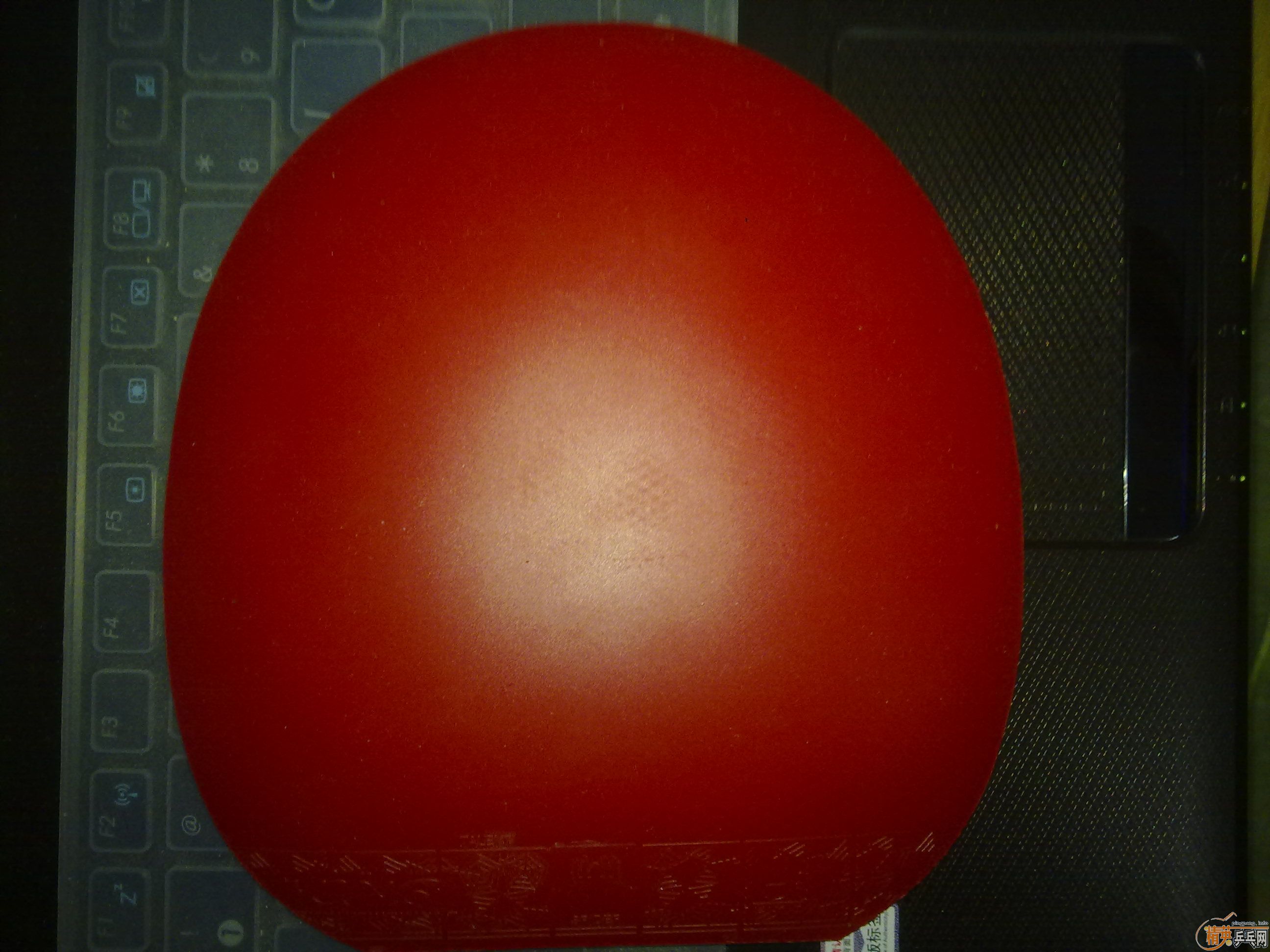 ���Ż� 9.9�½�Ƥ ������۳� ���������� Ҳ������Ҫ��