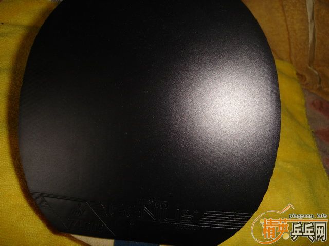 ����۳���ͦ��TIBHAR GENIUS[���]�޻����ܵ��⺣�ఢ����������