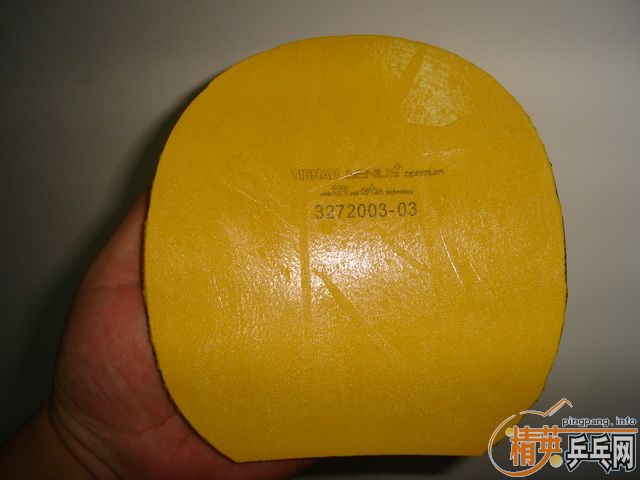 ����۳���ͦ��TIBHAR GENIUS[���]�޻����ܵ��⺣�ఢ����������