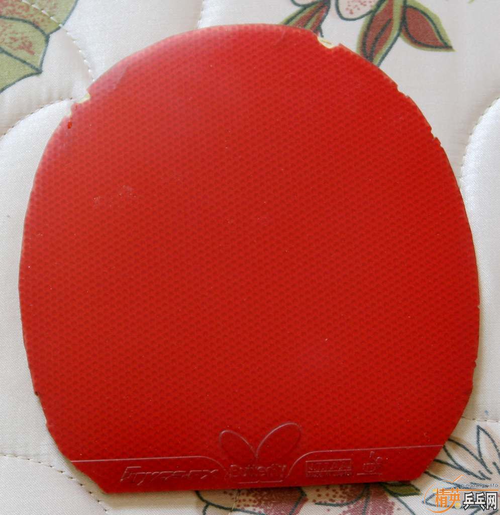 ����������bryce-fx��TNT��1997��palio���տ�