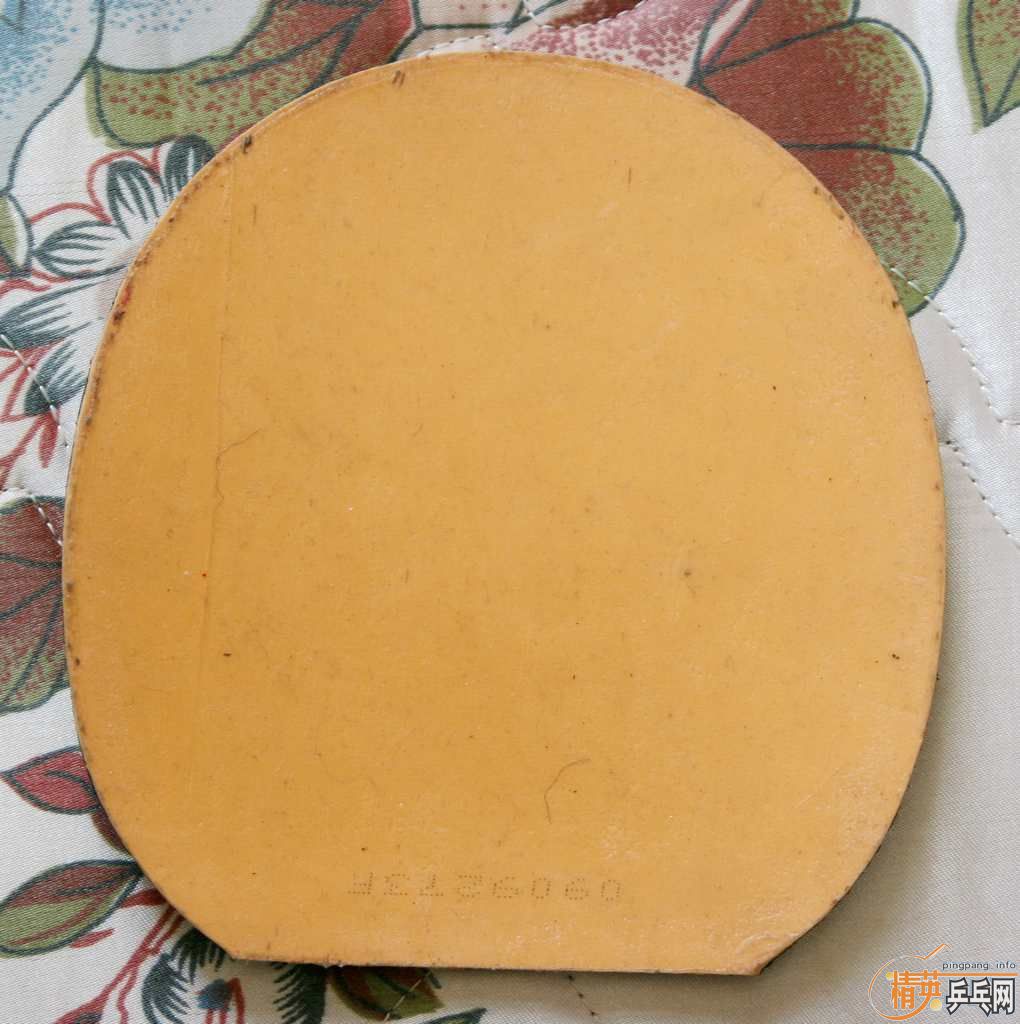 ����������bryce-fx��TNT��1997��palio���տ�