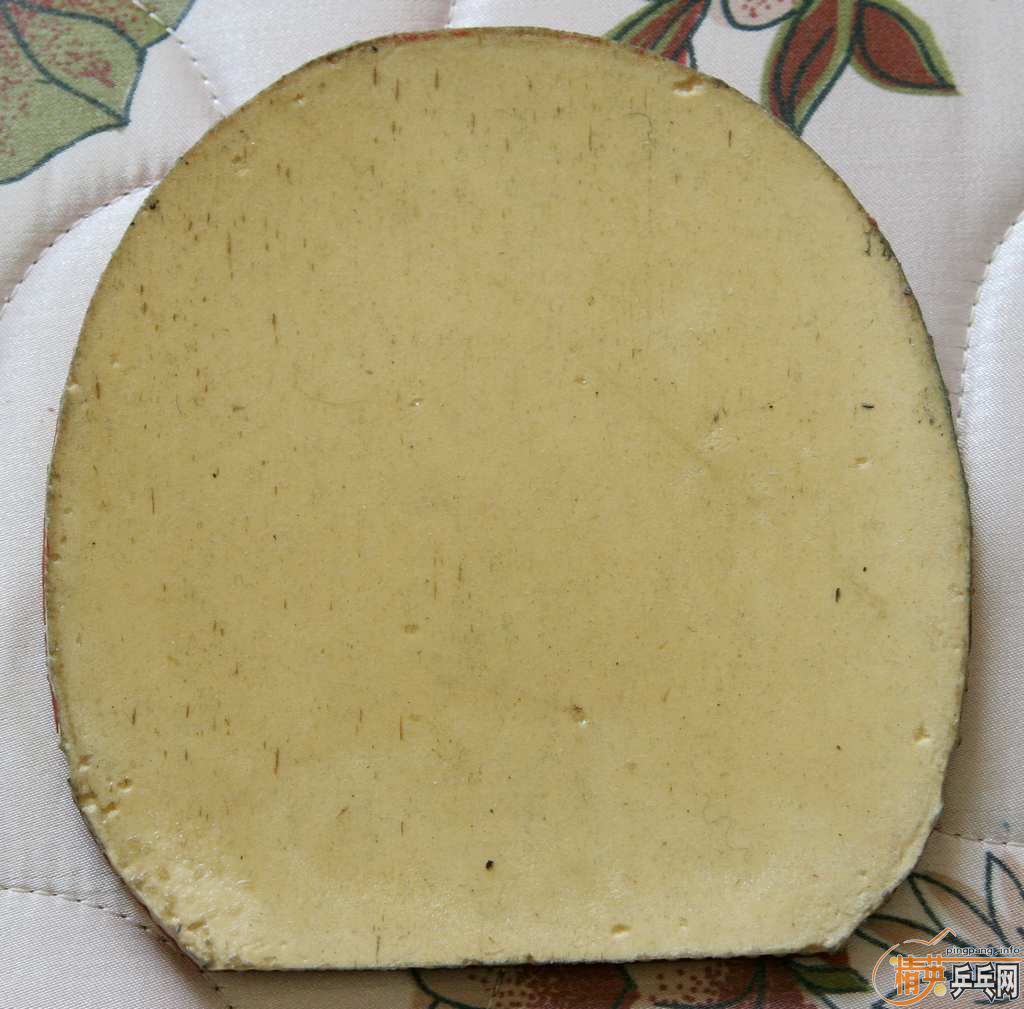 ����������bryce-fx��TNT��1997��palio���տ�