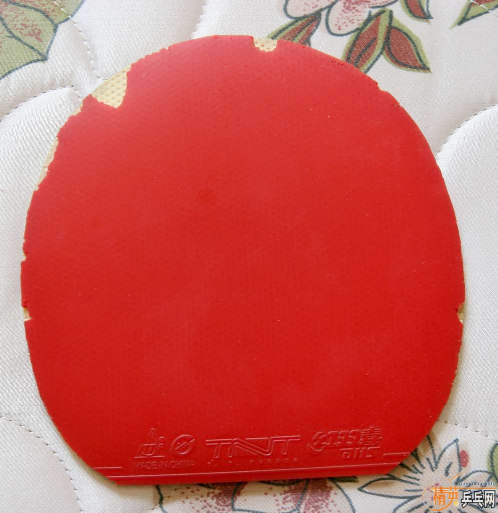 ����������bryce-fx��TNT��1997��palio���տ�