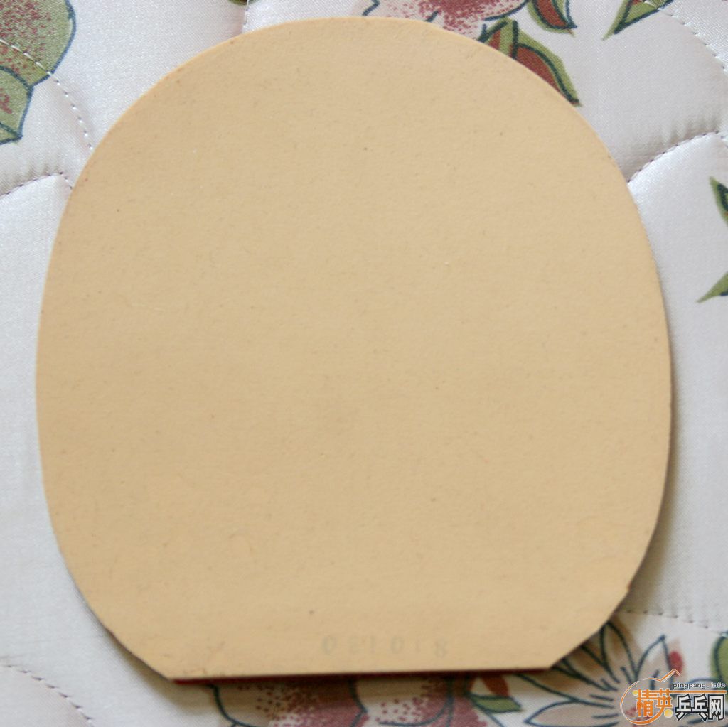 ����������bryce-fx��TNT��1997��palio���տ�