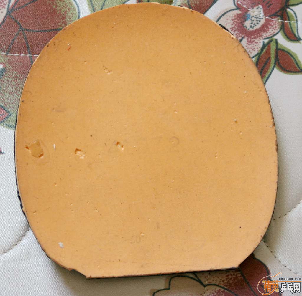 ����������bryce-fx��TNT��1997��palio���տ�