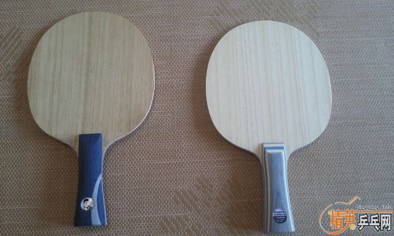 ������һ�ε�VISCARIA FL600������һ��汾�������켫��450����~