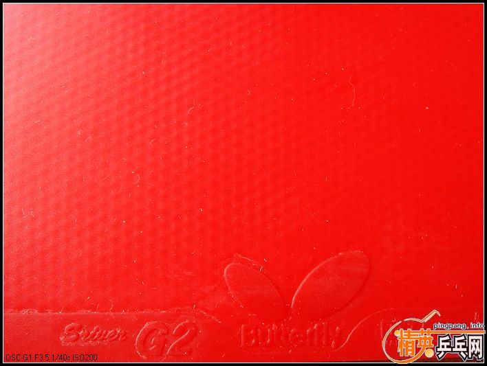 ����G2����ֱ���棩����ֱ���氲��Ѫ��470��R500