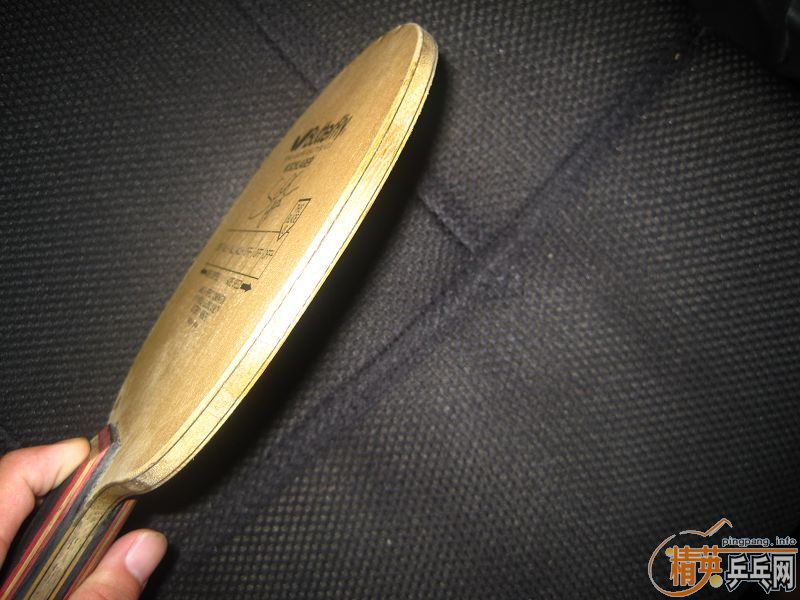 ֧������ �������������ʩ̼ ʩ����̼�� FL�� 31801