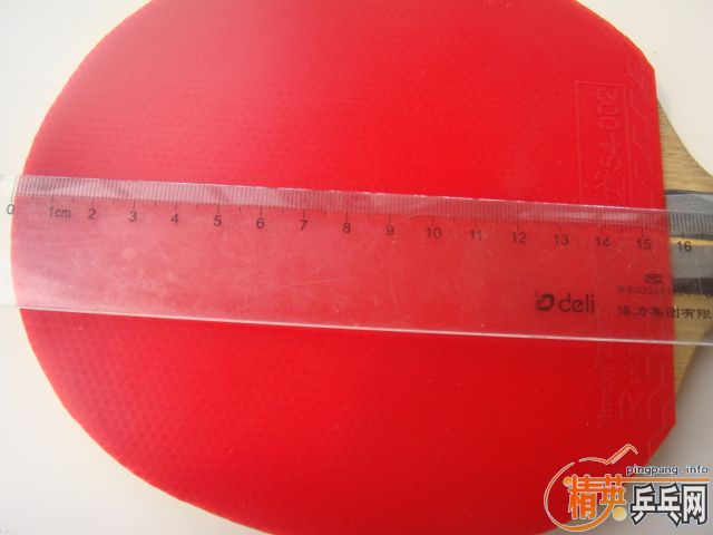 ��ɫ���������˽�Ƥ