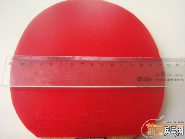 ��ɫ���������˽�Ƥ