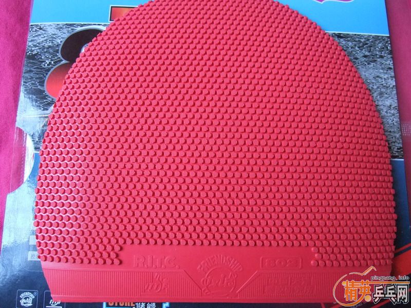 �� ���� ��̼=240Ԫ(�����)