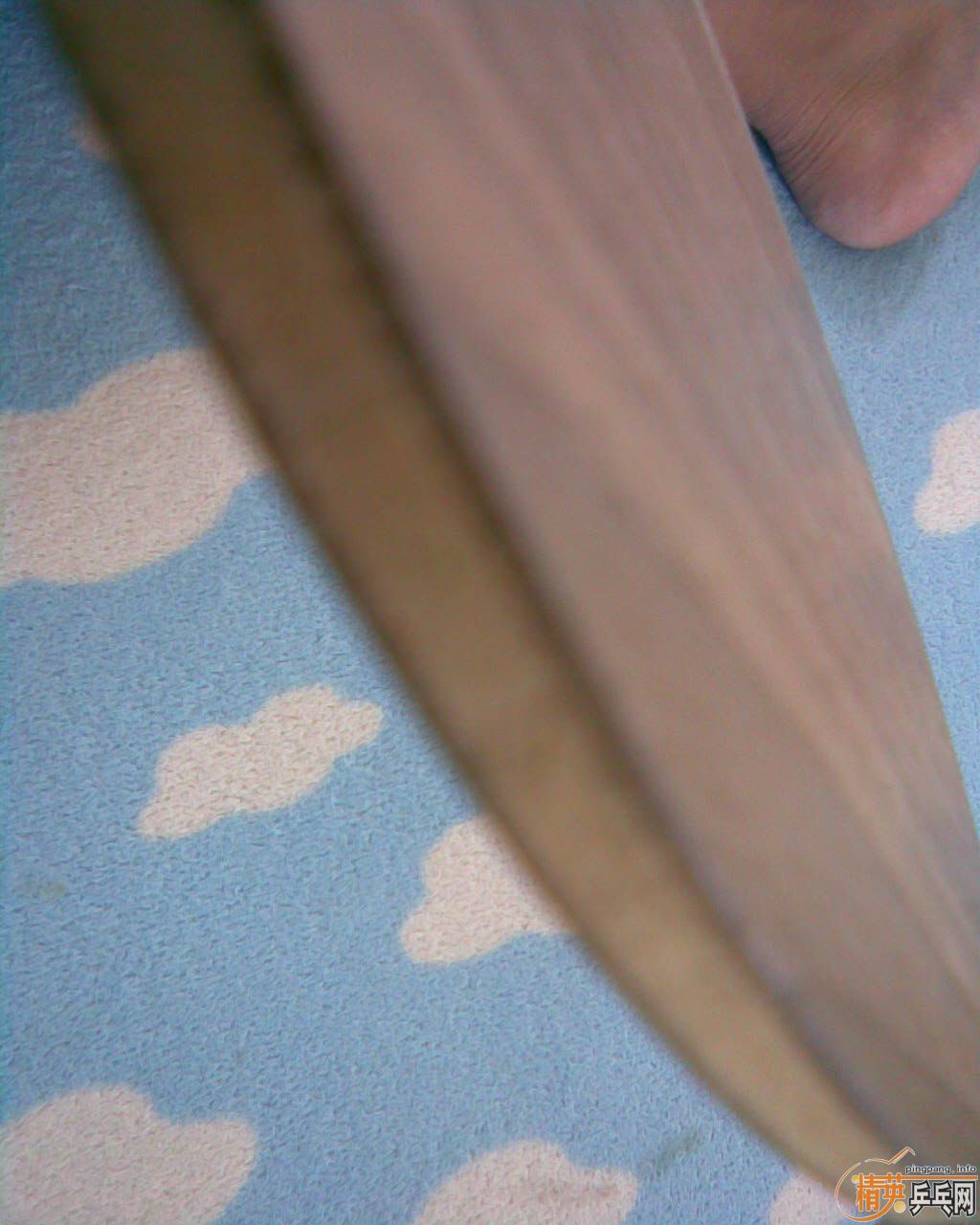 ��һֻSTIGA���