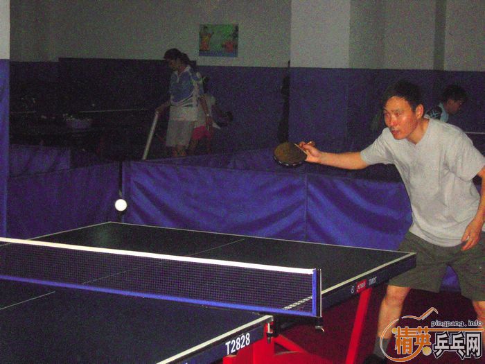 ��Ӣ�����ൺƹ�Ѿ��ֲ����ѻ�8.29���·�������ʵ