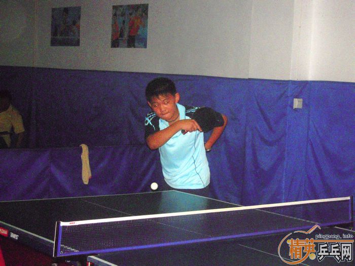 ��Ӣ�����ൺƹ�Ѿ��ֲ����ѻ�8.29���·�������ʵ