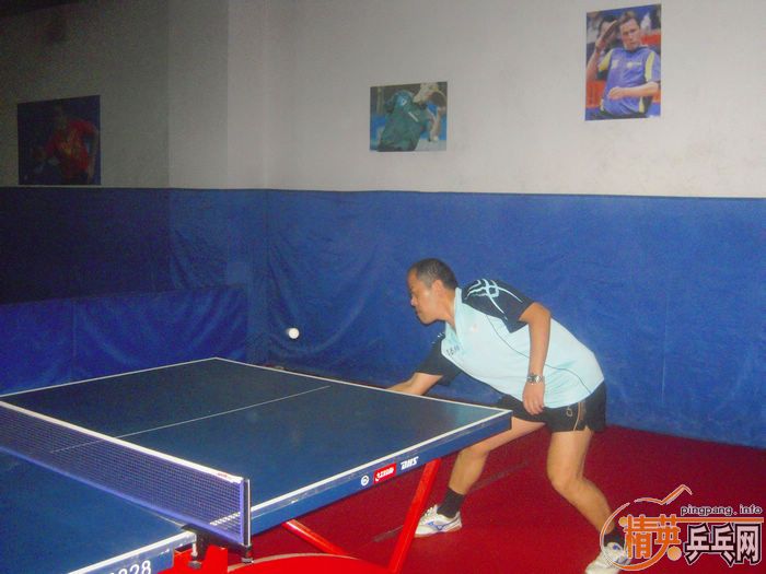 ��Ӣ�����ൺƹ�Ѿ��ֲ����ѻ�8.29���·�������ʵ