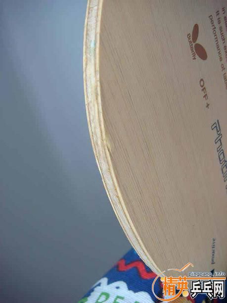 [ԭ��]Buttetfly PHOTINO �������655���655