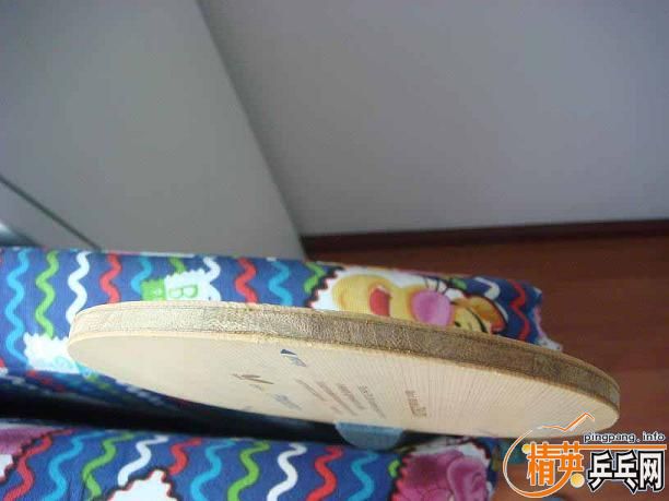 [ԭ��]Buttetfly PHOTINO �������655���655