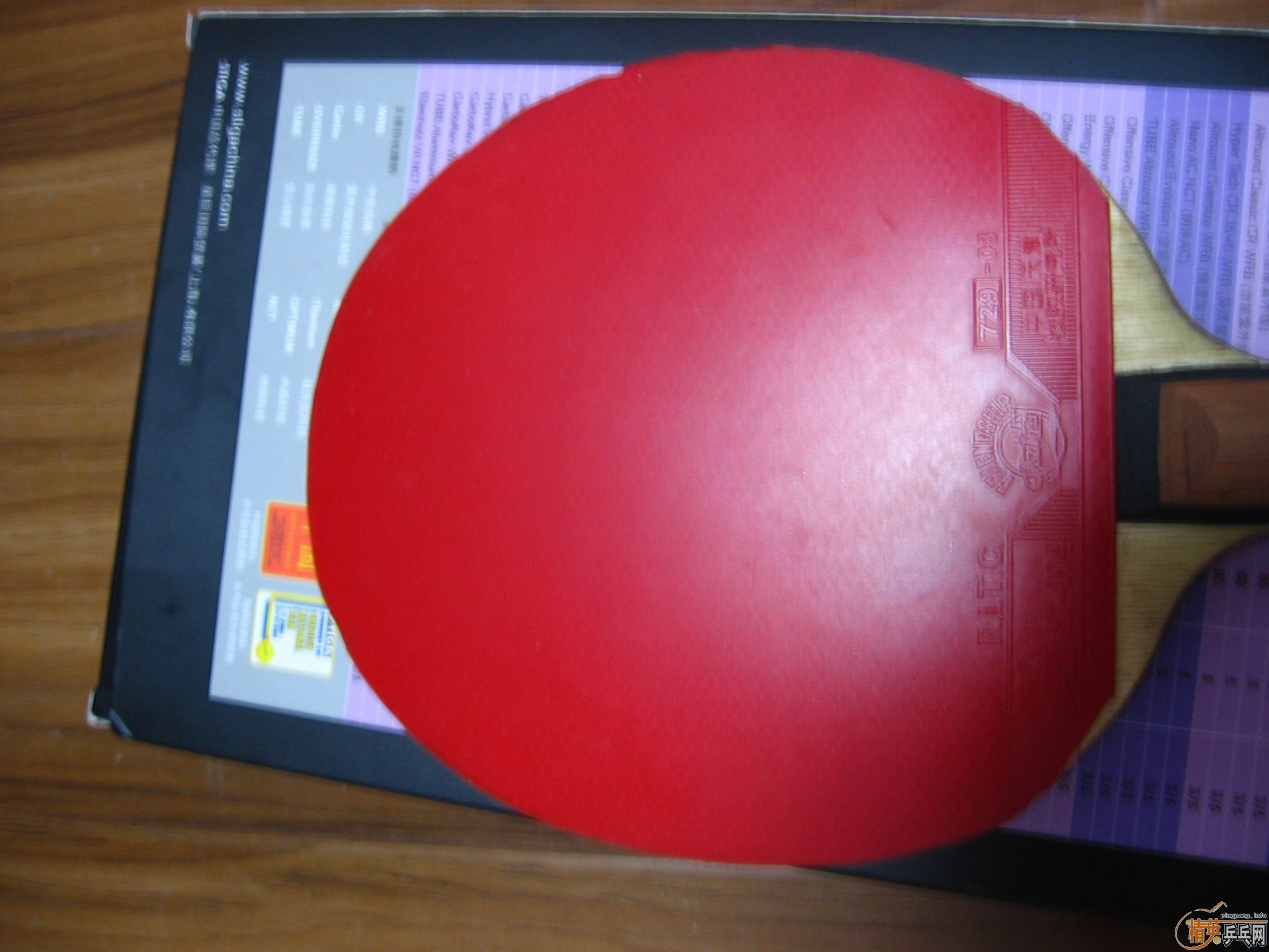 72908ES  �����coppa