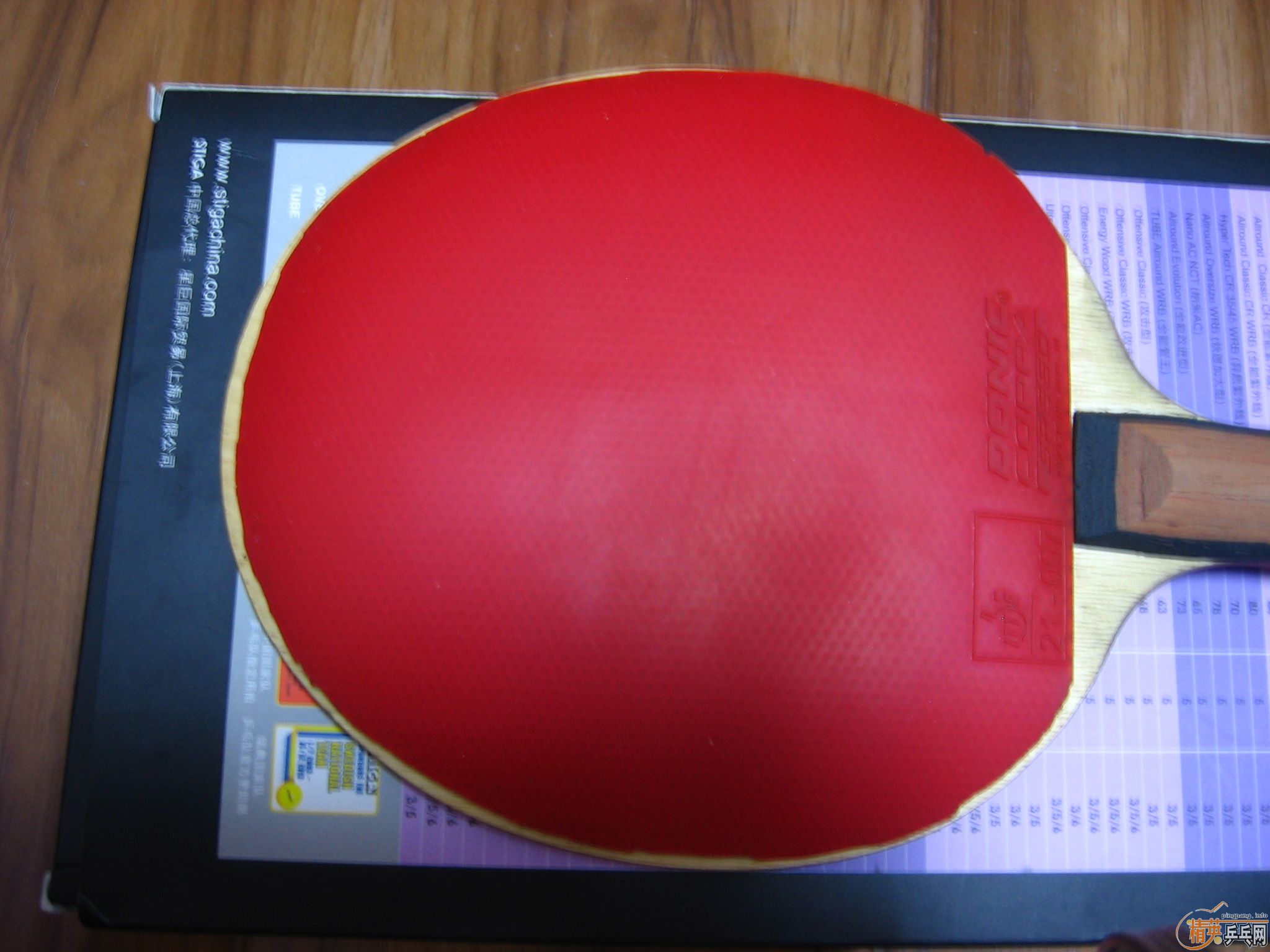 72908ES  �����coppa