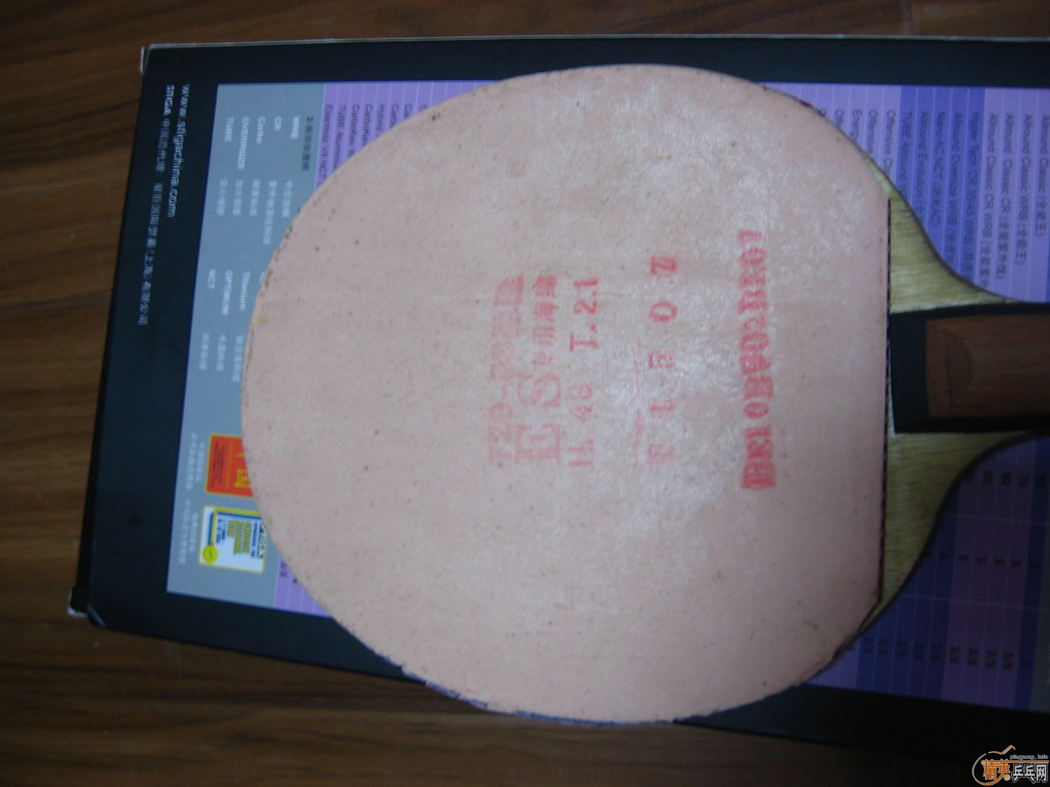 72908ES  �����coppa