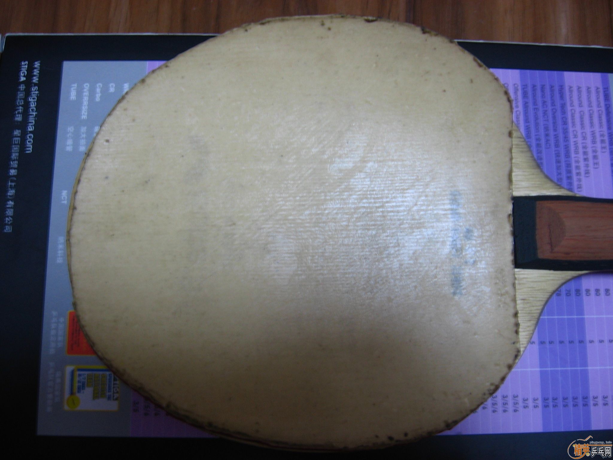 72908ES  �����coppa