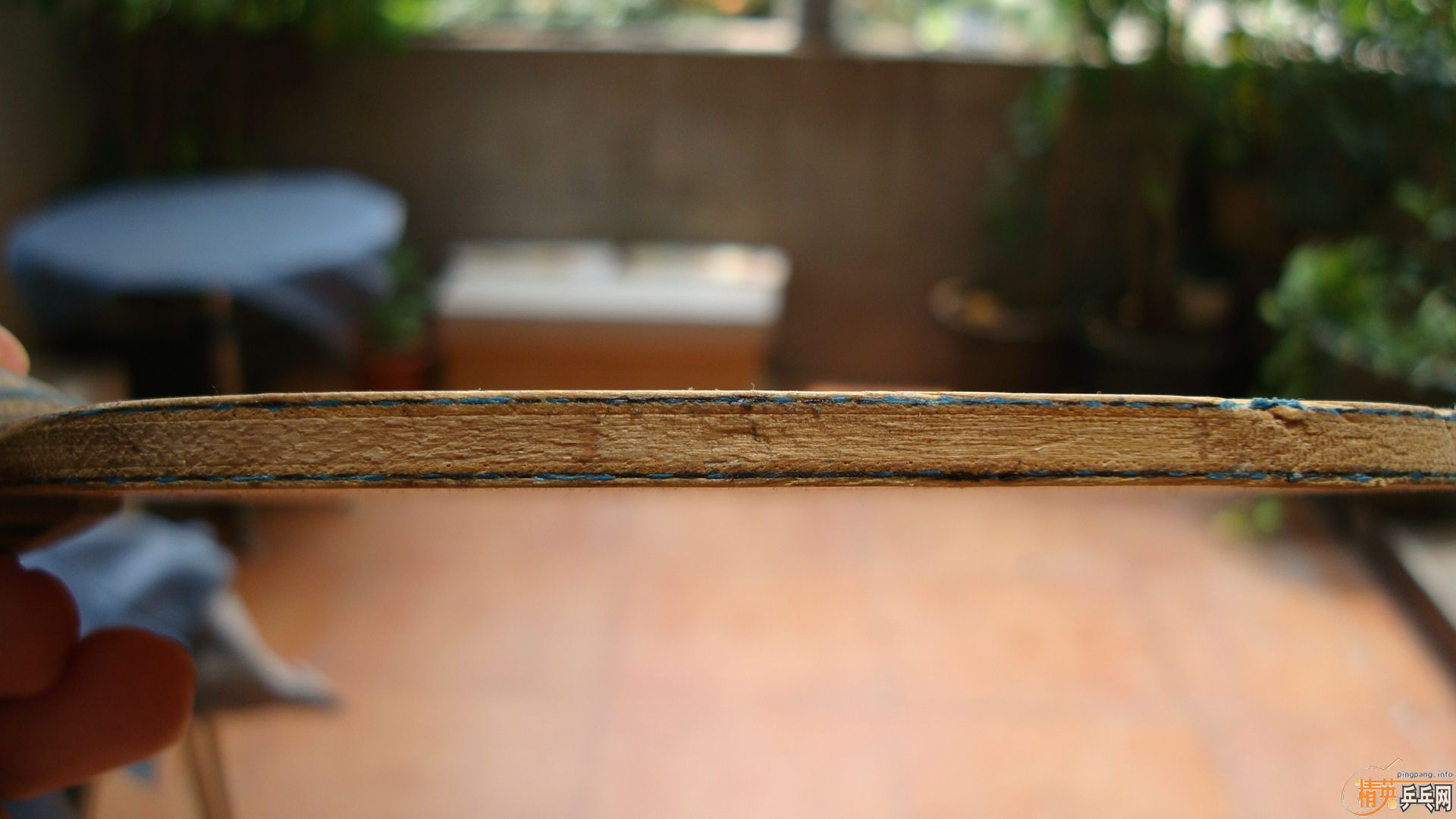 �����ѳ��������ƺ�����