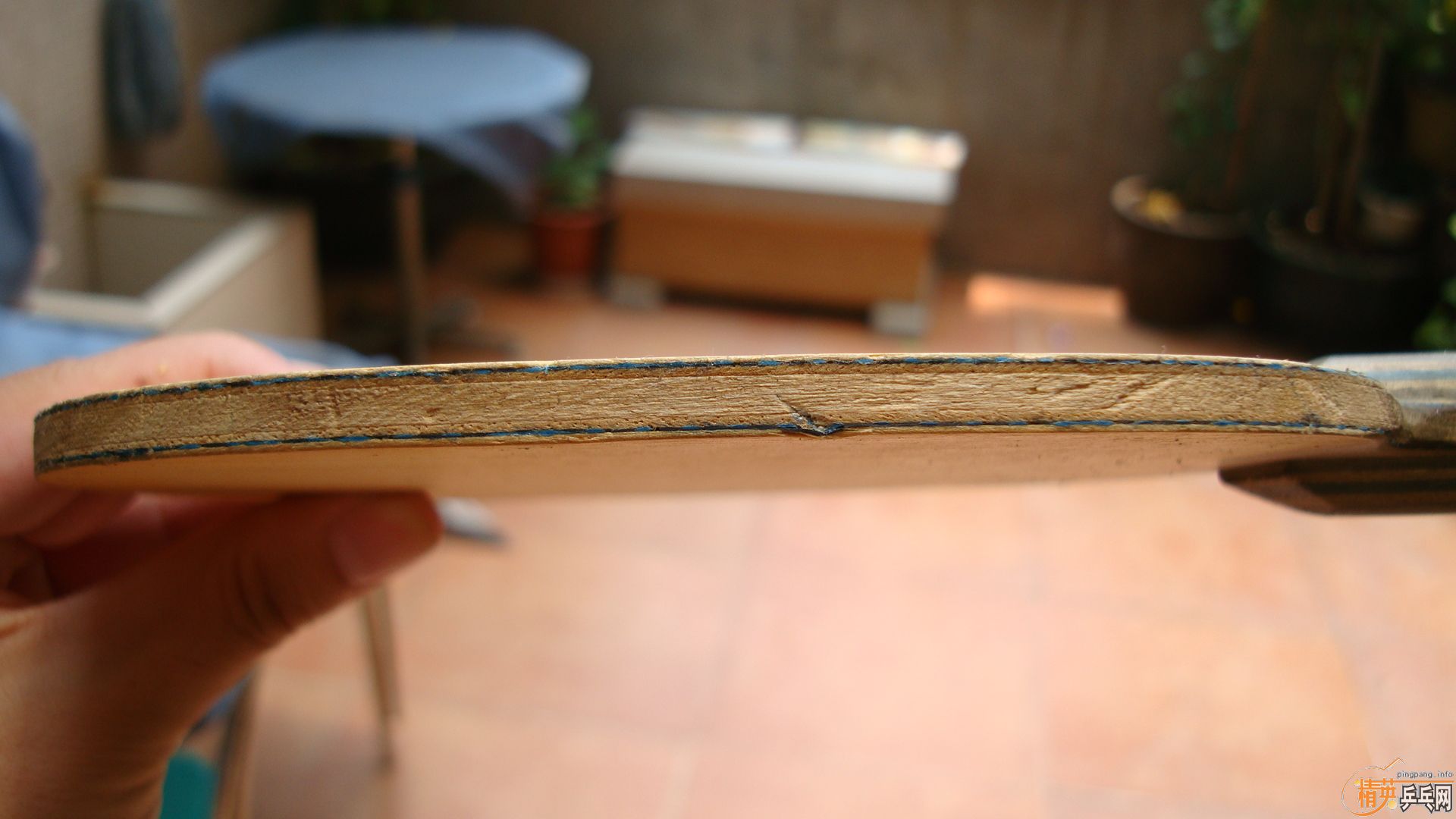 �����ѳ��������ƺ�����