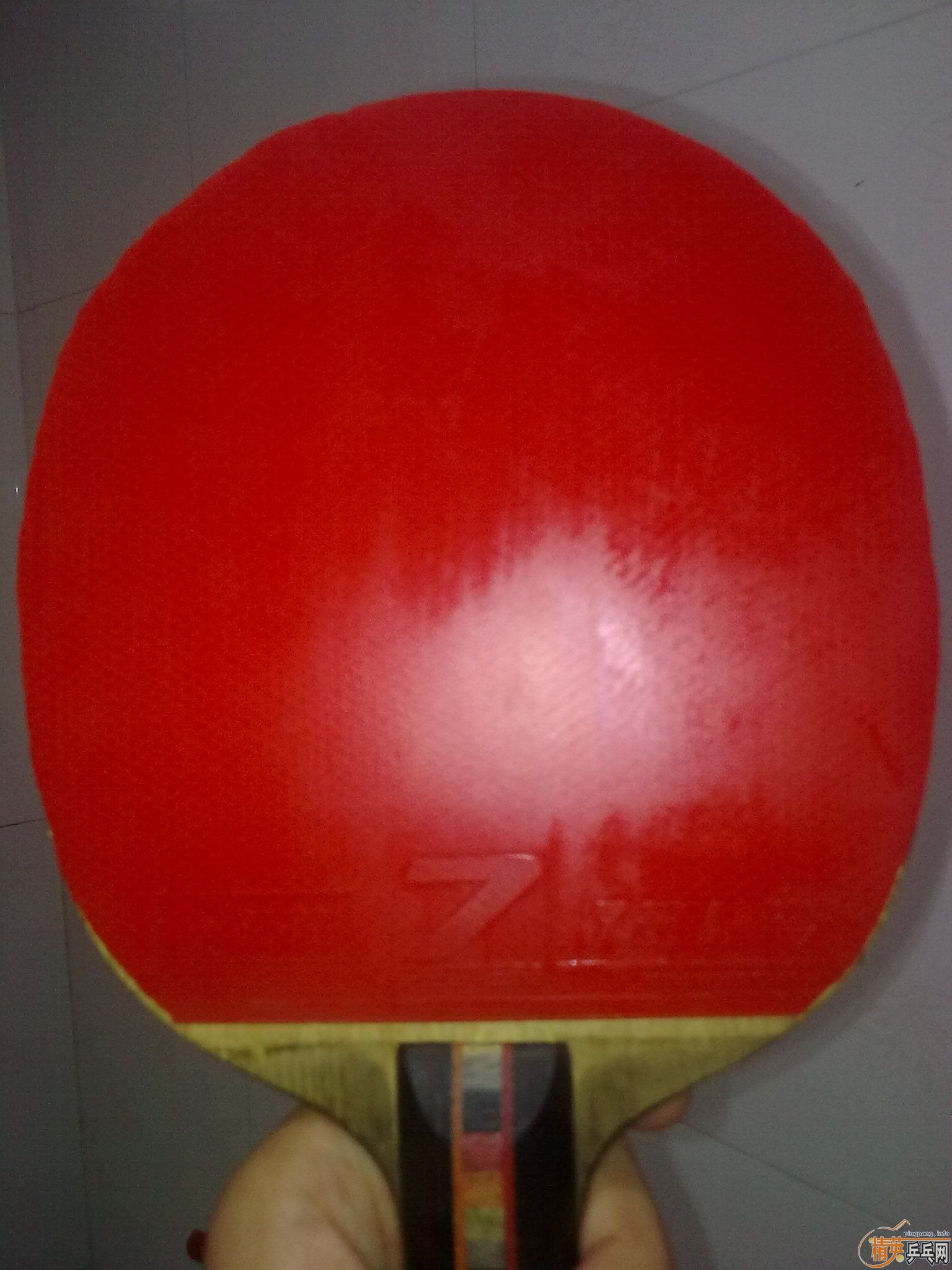 �����Ŀ��׽�  ����Ȥ������  ����� 729��