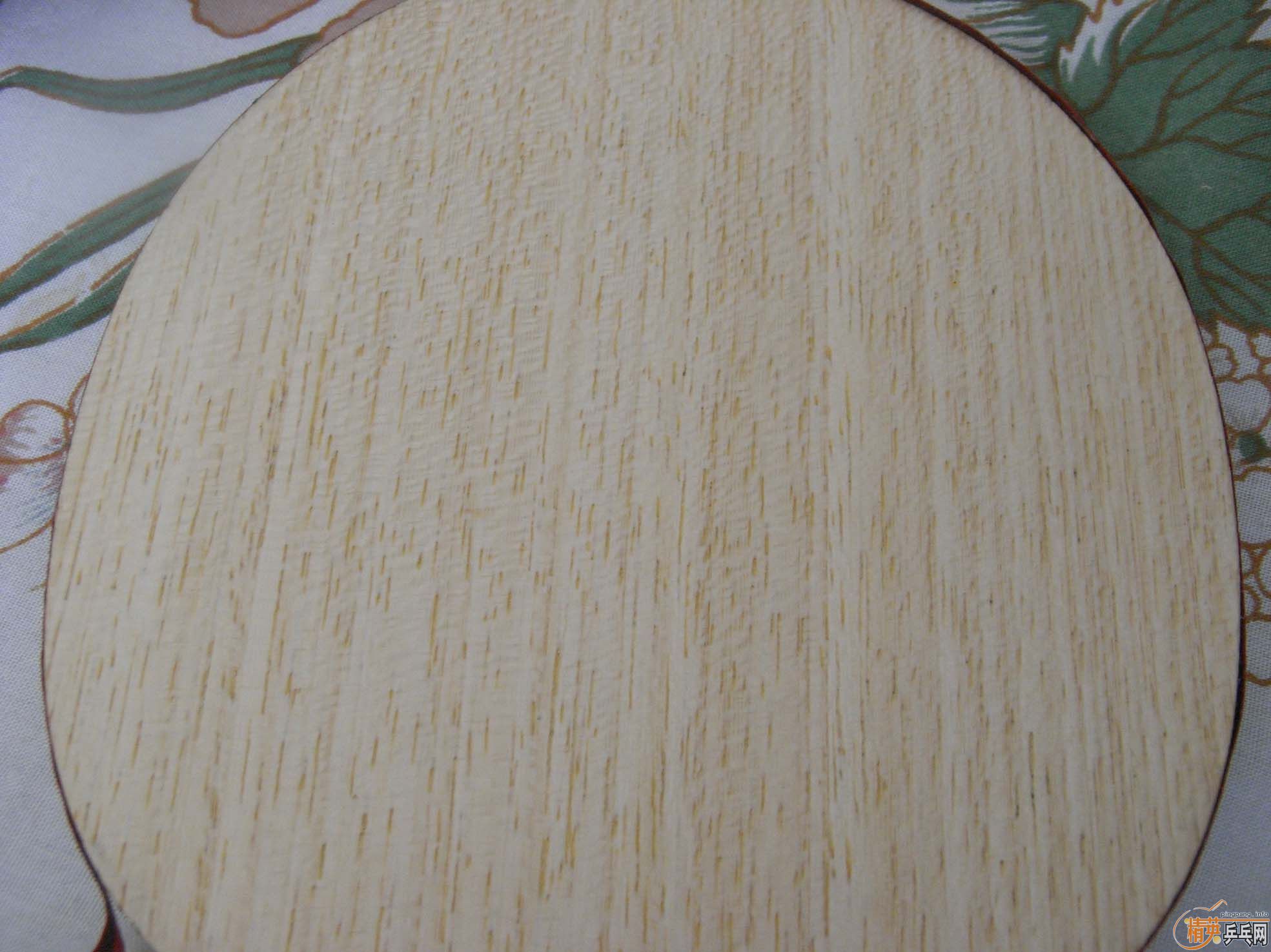 �����ƿ�ľһֻ��Ʒ��ã�210����