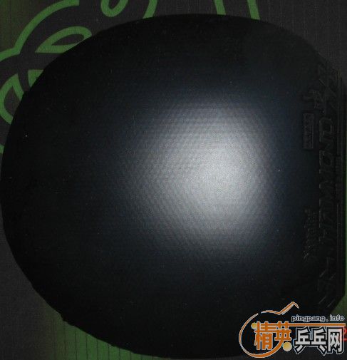 ֧������������ᡢ����G2��YASAKA MARKVM2��ʡ��