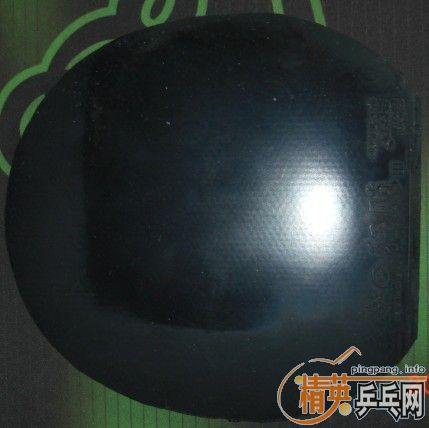 ֧������������ᡢ����G2��YASAKA MARKVM2��ʡ��