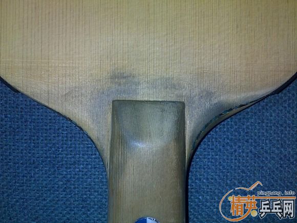 ���������������һֻ��