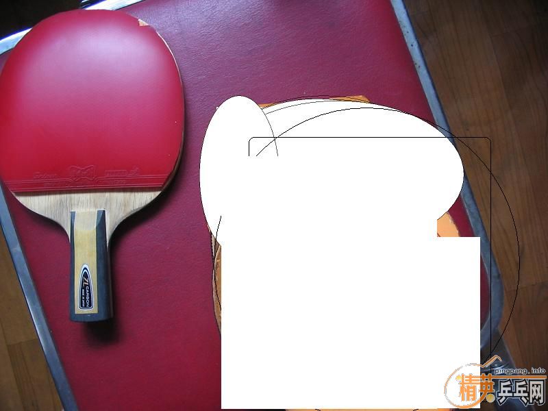 ������ZLC��AMU��