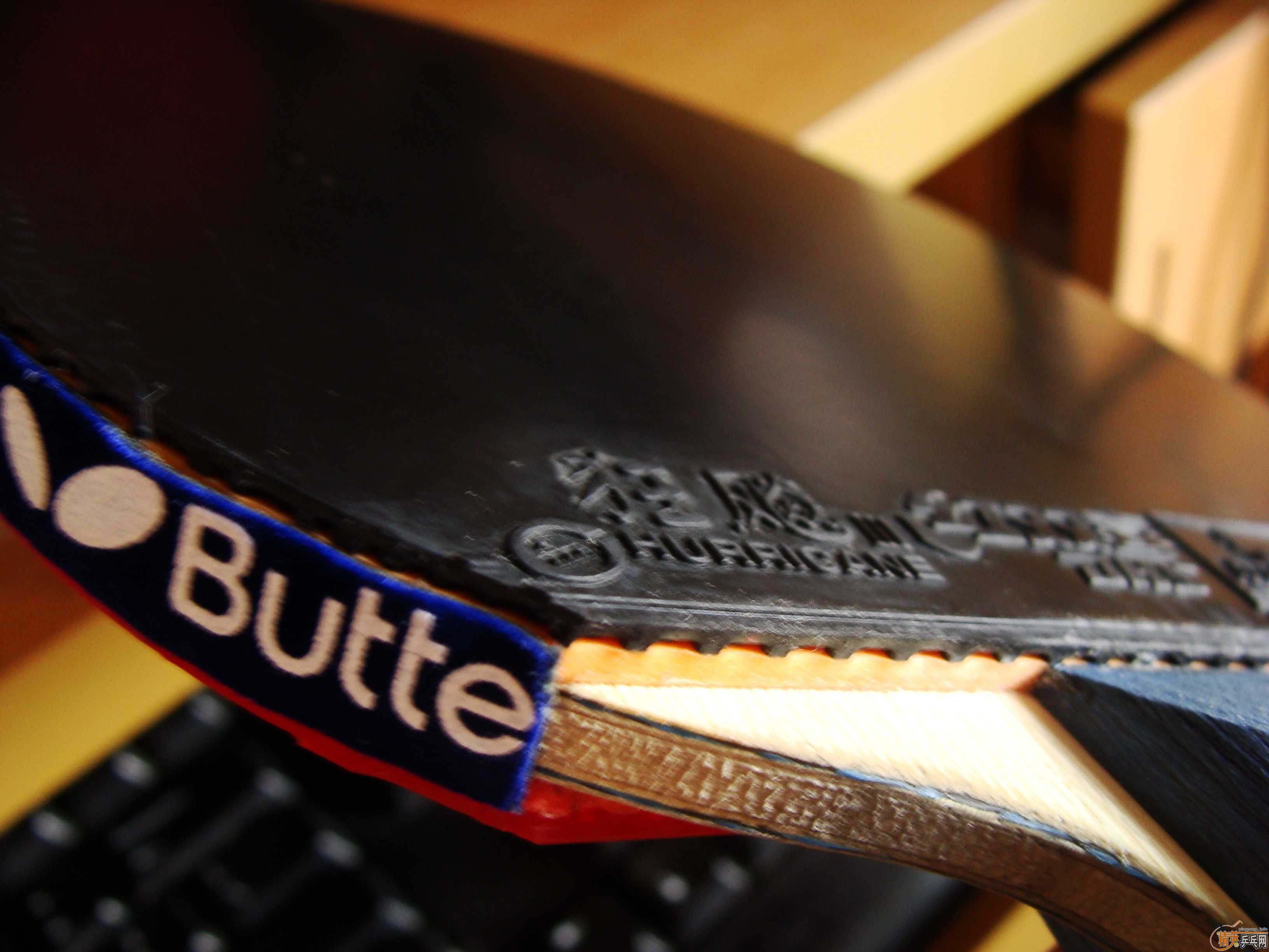 VIS FL(������) BOLL ALC ST����NEOʡ��3����T05��֧��֧������