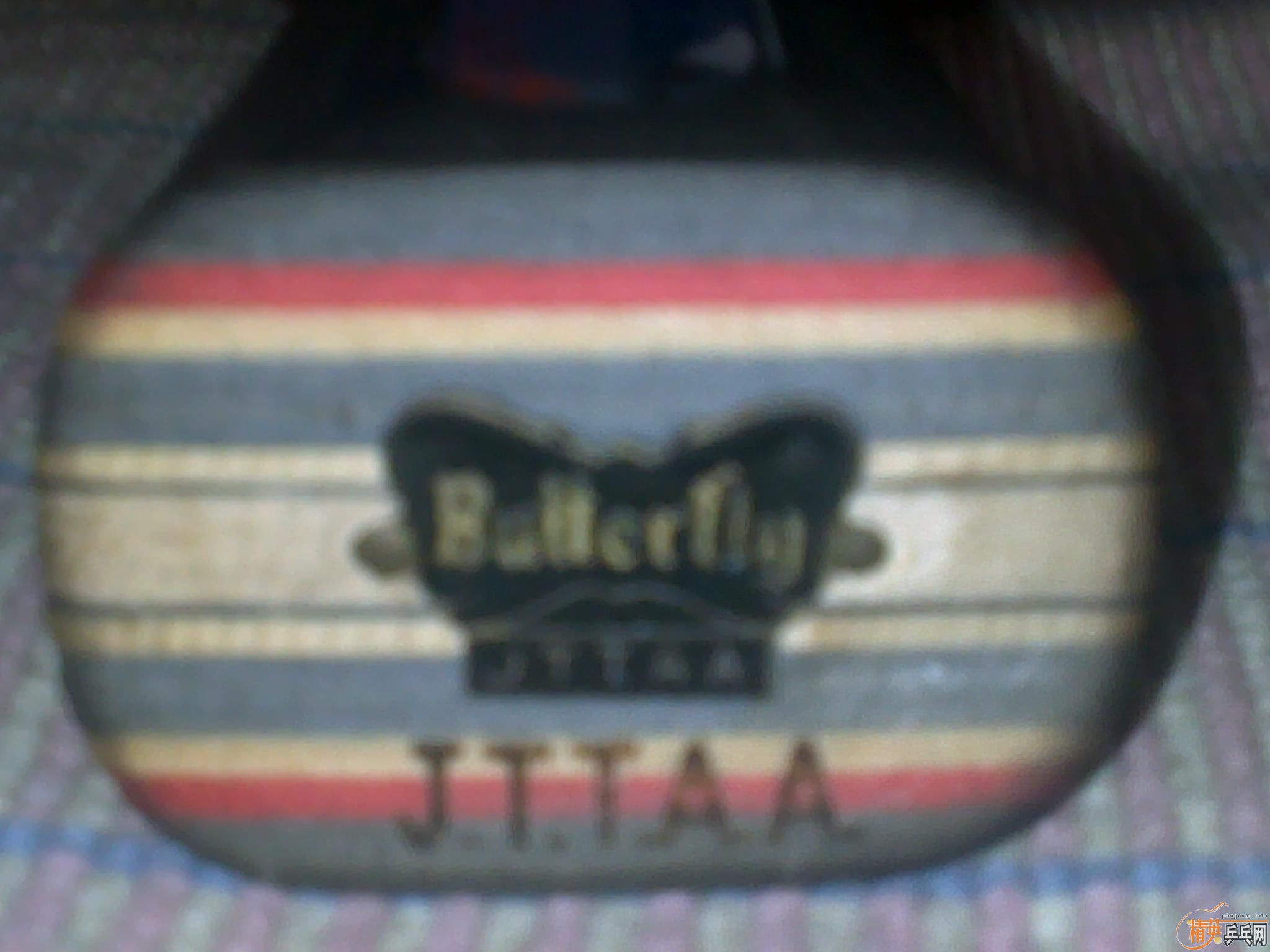 ֹ�ճ���Ʒ 95��������������̼